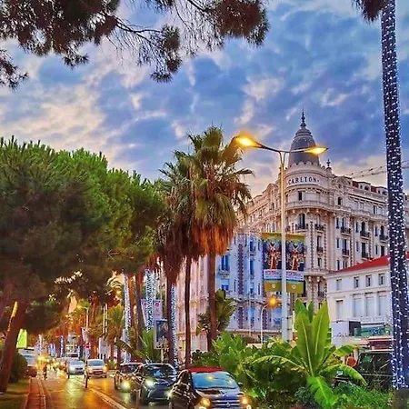 Superbe Studio Proche Palais Et Plages A Pieds *